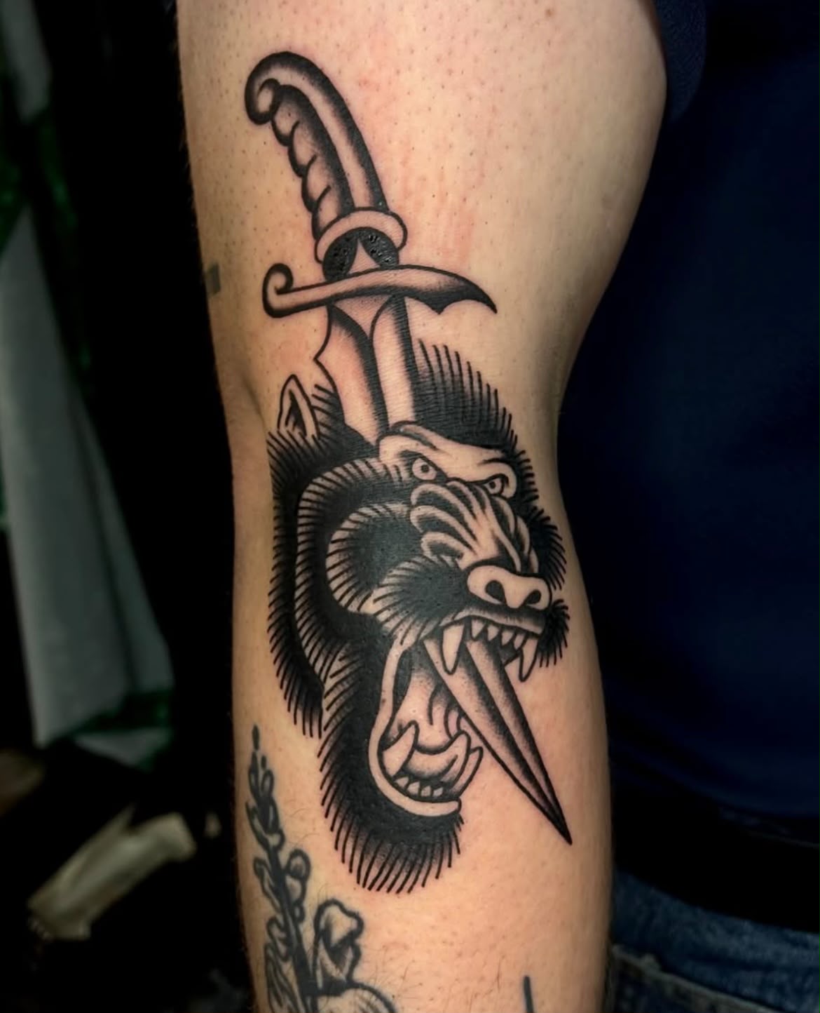 Panther and dagger traditional tattoo